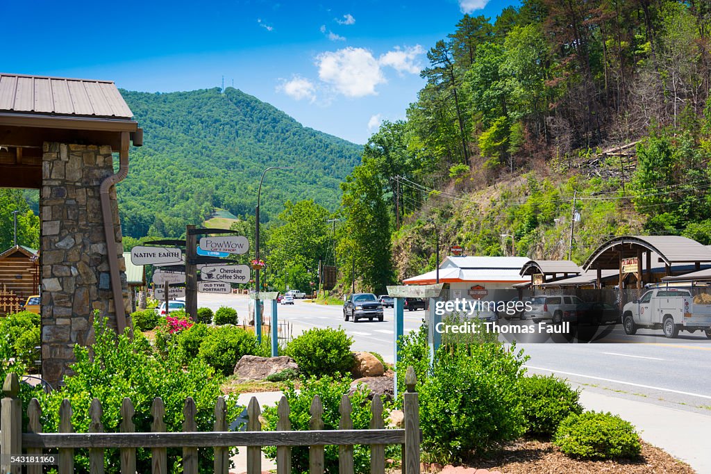 Cherokee Street View