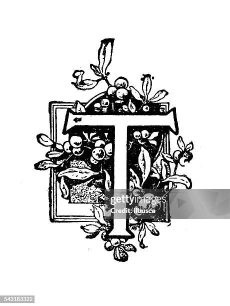 antique children's book comic illustration: ornate letter t - pencil sketch font stock illustrations