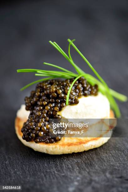 blini con crema agria y negro real caviar - amuse bouche fotografías e imágenes de stock