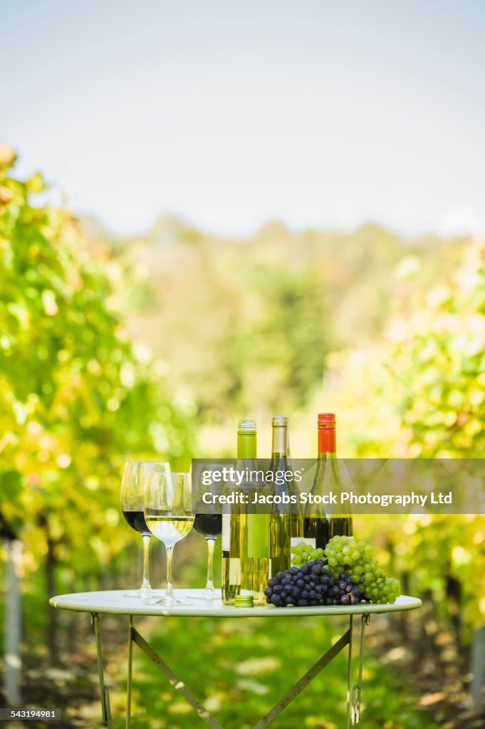 Variety of wine for tasting on table in vineyard