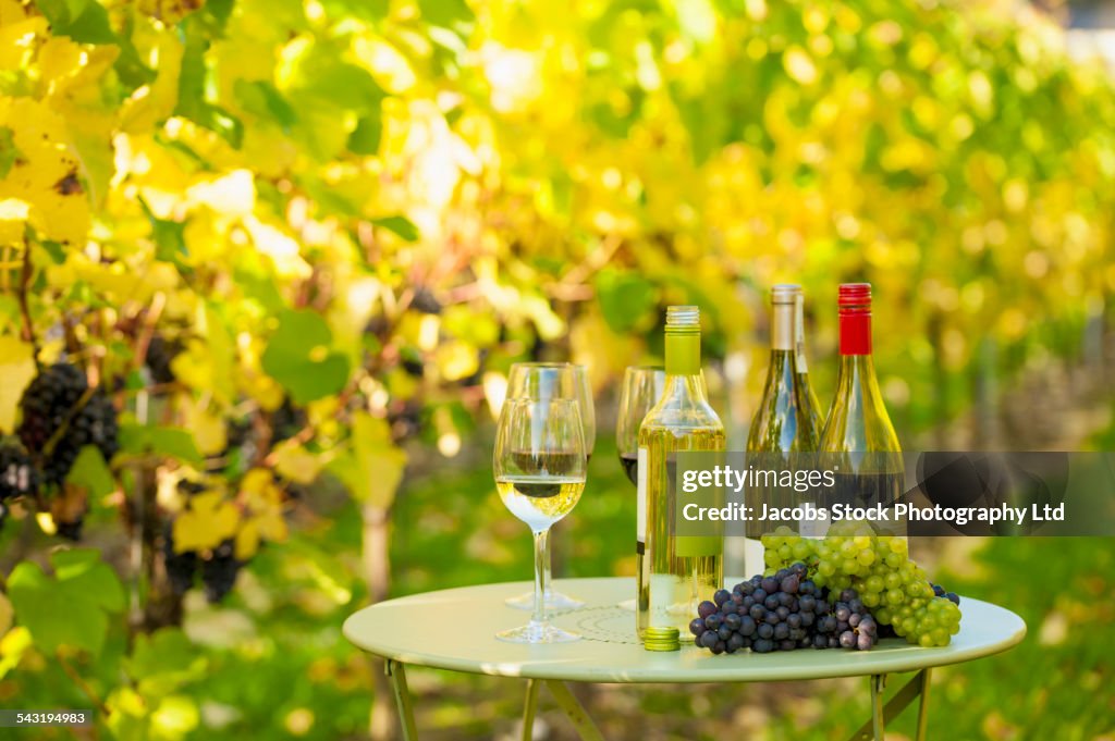 Variety of wine for tasting on table in vineyard