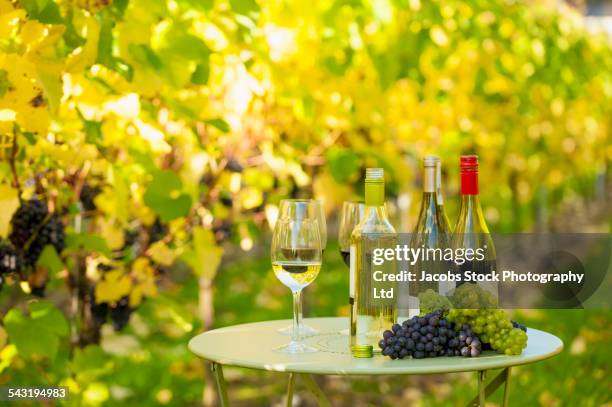 variety of wine for tasting on table in vineyard - chardonnay grape stock pictures, royalty-free photos & images