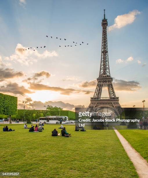 tourists relaxing in park near eiffel tower, paris, france - eifelturm stock-fotos und bilder