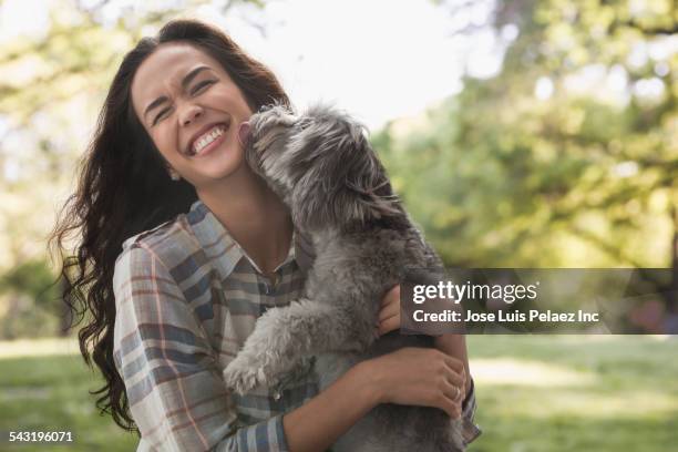 mixed race woman playing with dog in park - lick foto e immagini stock