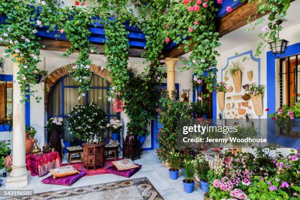 potted plants and flowers in courtyard - terraza fotografías e imágenes de stock