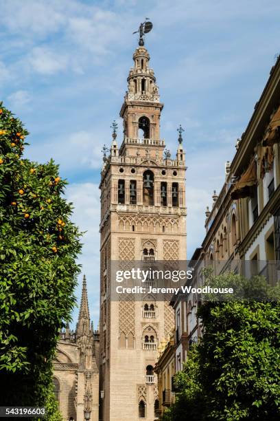 low angle view of bell tower over seville cityscape, andalusia, spain - bell tower tower stock-fotos und bilder