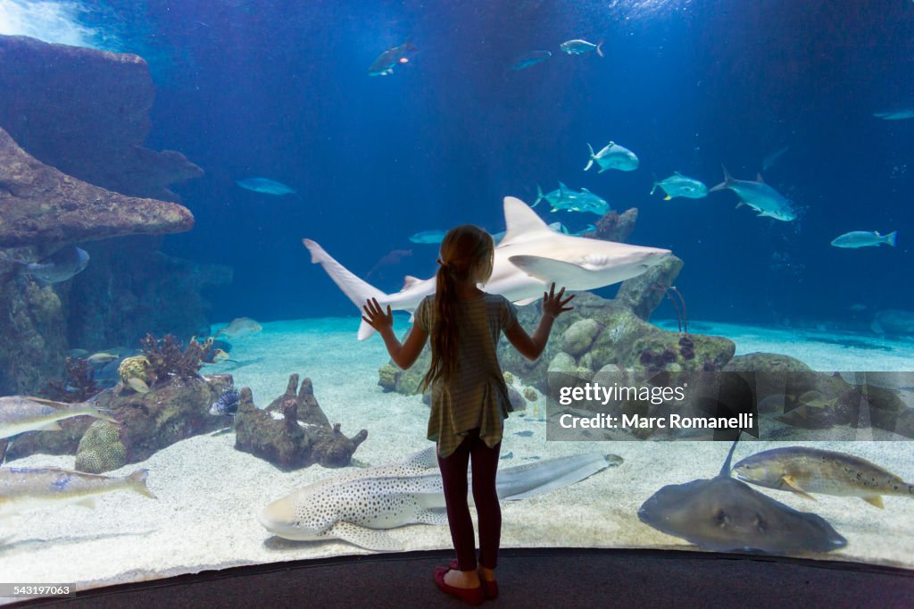 Caucasian girl admiring fish in aquarium