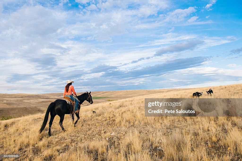 Caucasian woman riding horse on grassy hill