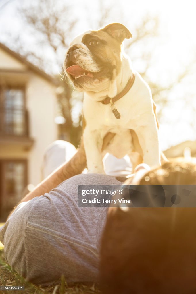 Caucasian man playing with dog on lawn