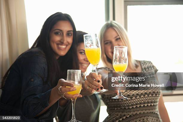 group of female friends holding glasses, making toast - vruchtensap stockfoto's en -beelden