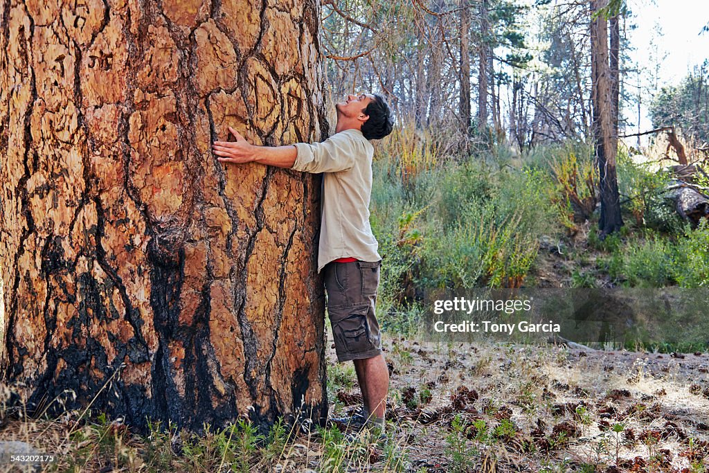 Young man in forest hugging large tree trunk, Los Angeles, California, USA