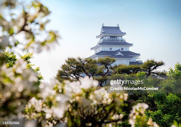 castillo de aizuwakamatsu en primavera - préfecture de fukushima fotografías e imágenes de stock