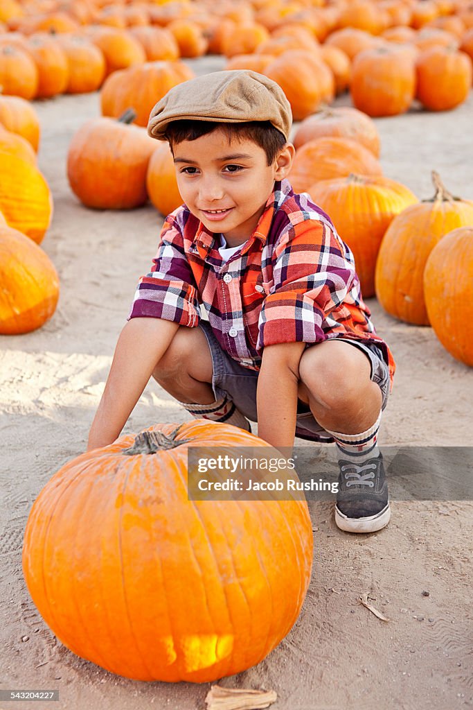Portrait of boy choosing pumpkin in farmyard