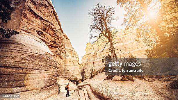 hiking new mexico - albuquerque stock pictures, royalty-free photos & images