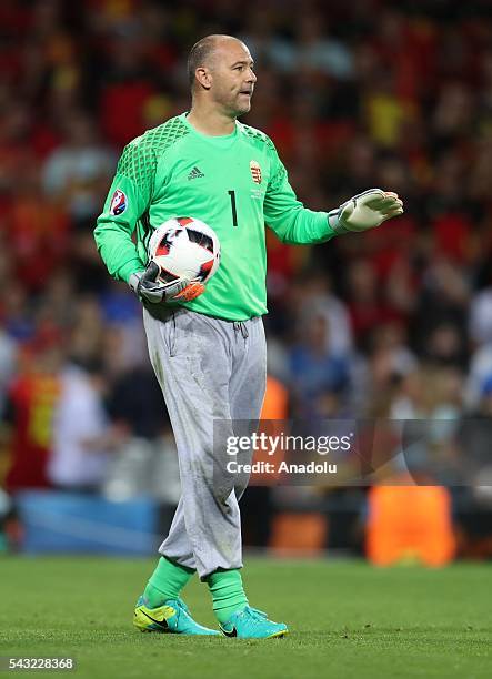 Goal keeper Gabor Kiraly of Hungary in action during the UEFA Euro 2016 round of 16 football match between Hungary and Belgium at Stadium Municipal...