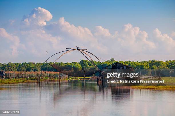 fishery in thale noi, thale noi waterbird park in phatthalung province - thale noi stock pictures, royalty-free photos & images