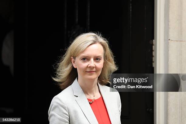 Elizabeth Truss, Secretary of State for Environment, Food and Rural Affairs leaves Downing Street following a cabinet meeting on June 27, 2016 in...