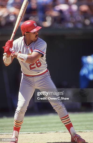 Tony Pena of the St. Louis Cardinals bats against the San Diego Padres at Jack Murphy Stadium in San Diego, California.