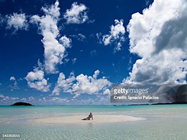 whitehaven beach in the whitesundays - whitehaven beach stock pictures, royalty-free photos & images