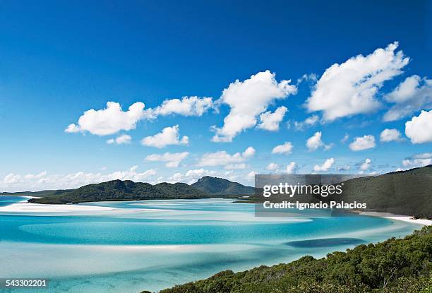 whitehaven beach in the whitesundays - whitehaven beach stockfoto's en -beelden