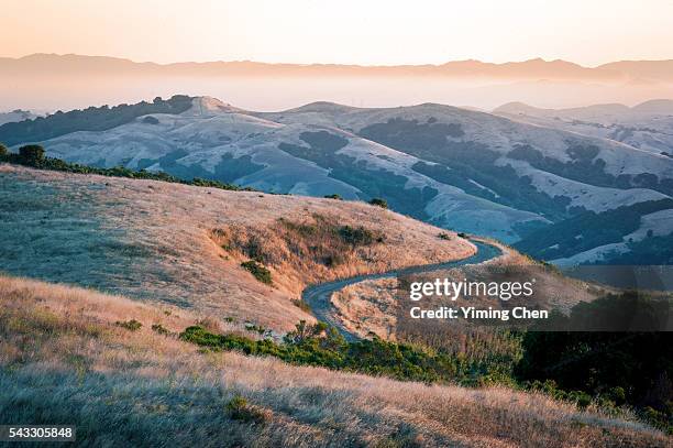dawn of tilden regional park - oakland hills fotografías e imágenes de stock