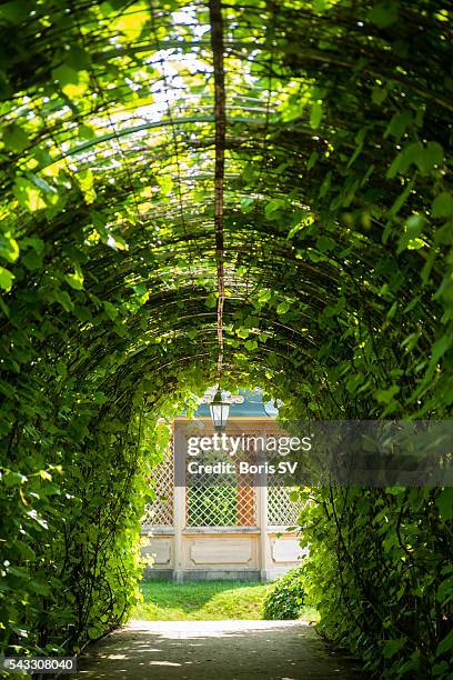 archway in rundale palace park, latvia, leading to garden alcove - bauska stock-fotos und bilder