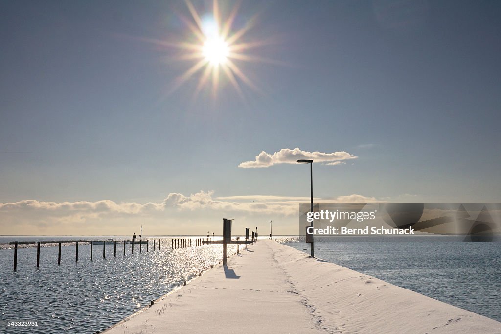 Baltic Winter Sun