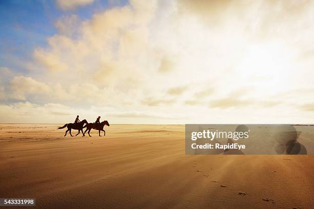 horseriders cantering across sands on a golden late afternoon - recreational horseback riding 個照片及圖片檔