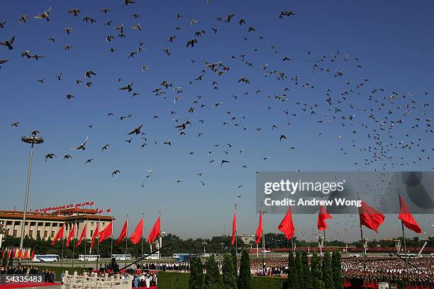Pigeons fly over Tiananmen Square to mark the defeat of Japan 60 years ago, September 3, 2005 in Beijing, China. Chinese leaders laid wreaths at the...