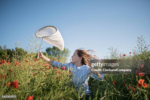 mädchen läuft durch ein feld versuchte insekten - butterfly net stock-fotos und bilder