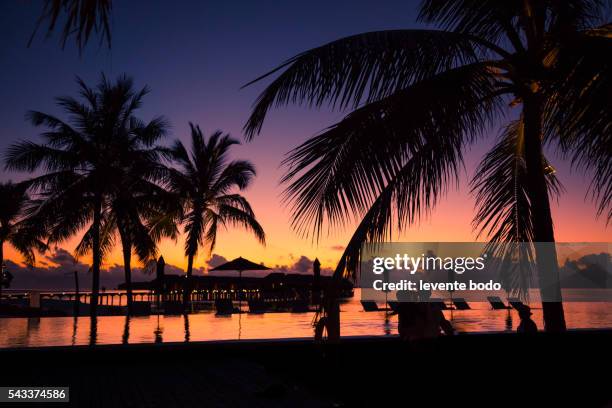 amazing beautiful sunset under the coconut plams on maldives beach. - laguna beach maldives stock pictures, royalty-free photos & images