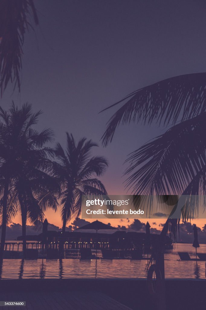 Amazing beautiful sunset under the coconut plams on Maldives beach.