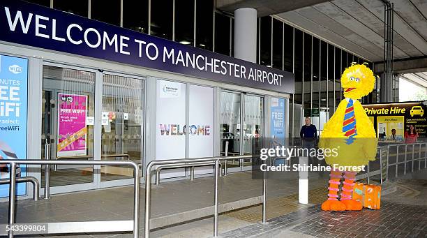 Big Bird arrives at Manchester airport on his way to visit his friend Elmo at CBeebies The Furchester Hotel at Manchester Airport on June 28, 2016 in...