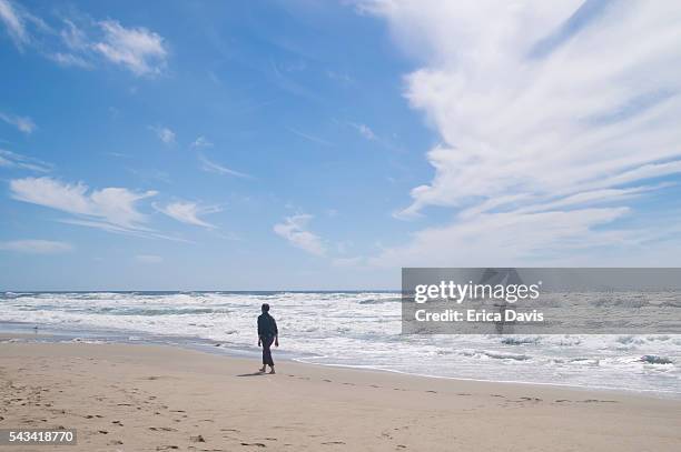 man walking on san gregorio state beach. - gaviota de california fotografías e imágenes de stock