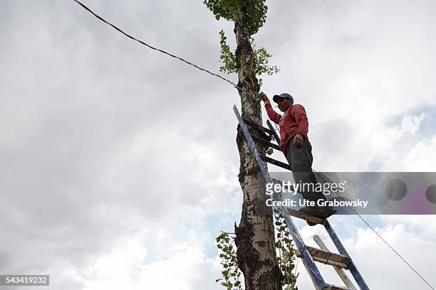 Tawarchapi, Bolivia A technician is standing unsecured on a ladder and installs a power line to a tree in the Andes of Bolivia on April 15, 2016 in...