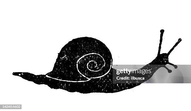 antique children's book comic illustration: snail - escargot 幅插畫檔、美工圖案、卡通及圖標