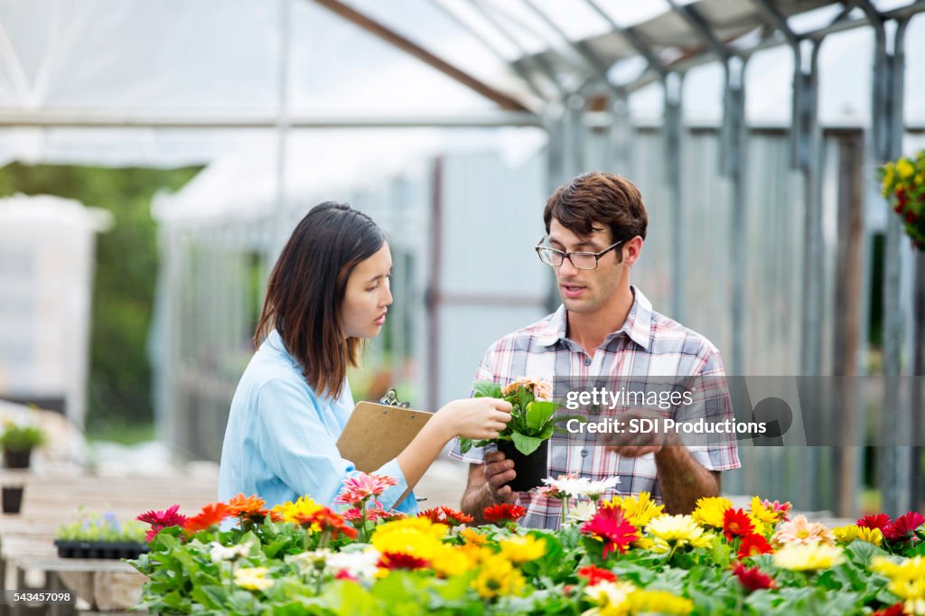 Garten-Center-Manager spricht mit Kunden über Gänseblümchen
