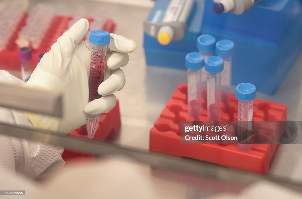 National Primate Research Centers Study Zika Virus
