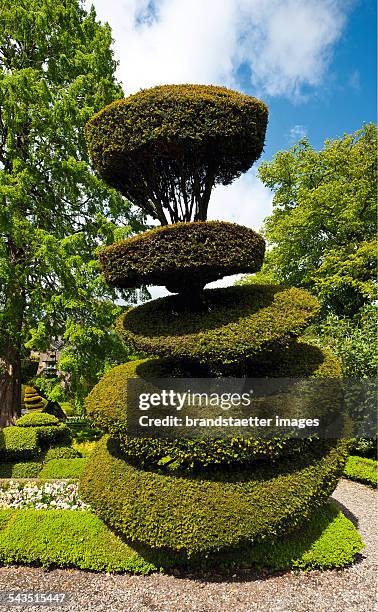 Photograph.Topiary at Levens Hall. About 2000. .