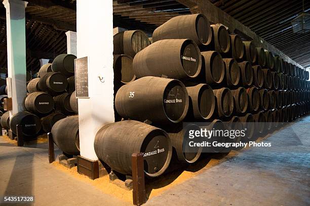 Oak barrels of maturing sherry wine in cellar, Gonzalez Byass bodega, Jerez de la Frontera, Cadiz province, Spain.