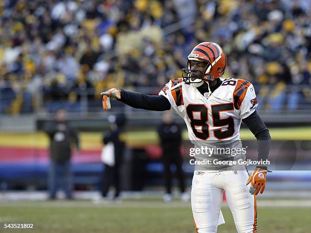 Wide receiver Chad Johnson of the Cincinnati Bengals points to the sideline during a National Football League game against the Pittsburgh Steelers at...