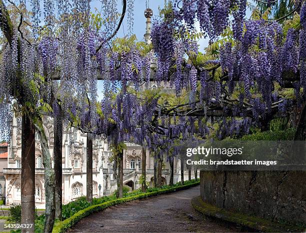 Pergola with wisteria in the garden of the former summer residence of King Carlos I. Palácio do Buçaco in Luso. About 2000. .