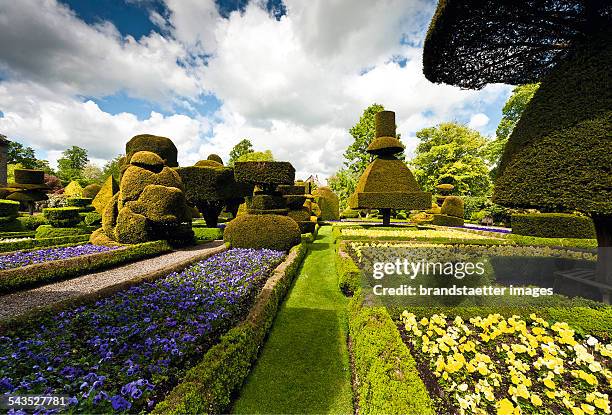 Topiary at Levens Hall. About 2000.