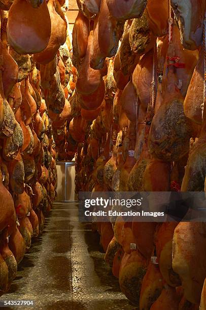 Trevelez, Alpujarras Mountains area, Trevelez drier hams, Sierra Nevada, Granada province, Andalusia, Spain, Europe.