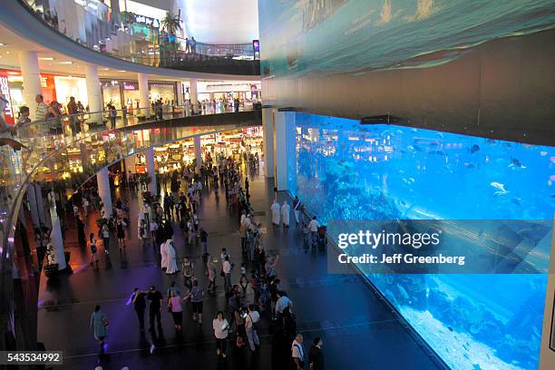 United Arab Emirates U.A.E. UAE Middle East Dubai Downtown Dubai Burj Dubai Mall shopping Dubai Aquarium Underwater Zoo tank.