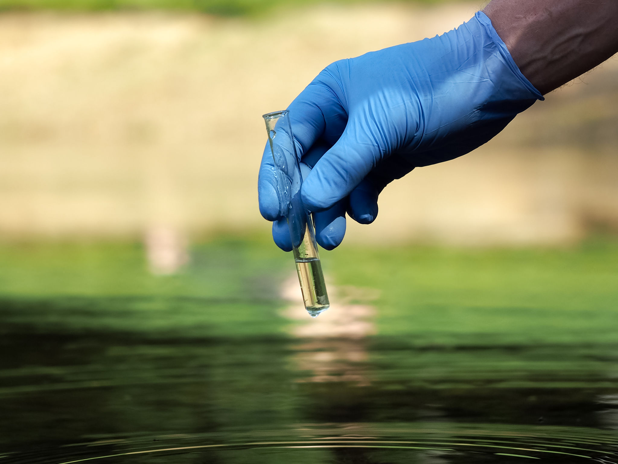 chemical pollution