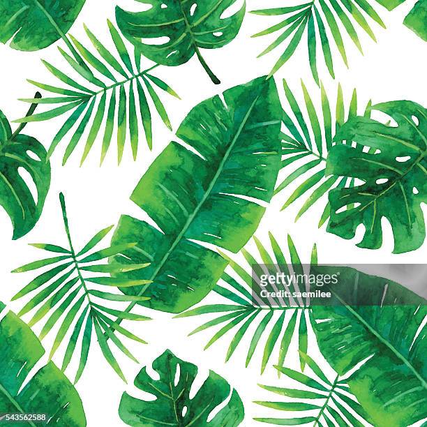 aquarell nahtlose tropischen muster - tropical leaves stock-grafiken, -clipart, -cartoons und -symbole