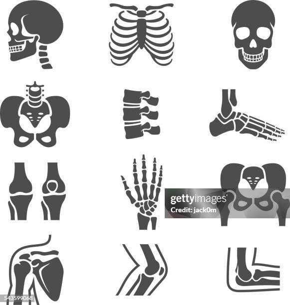 stockillustraties, clipart, cartoons en iconen met human joints icons set - bot in het been