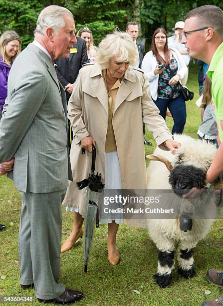 Prince Charles, Prince of Wales and Camilla, Duchess of Cornwall look at a ram during a visit to The Royal Norfolk Show at Norfolk Showground on June...