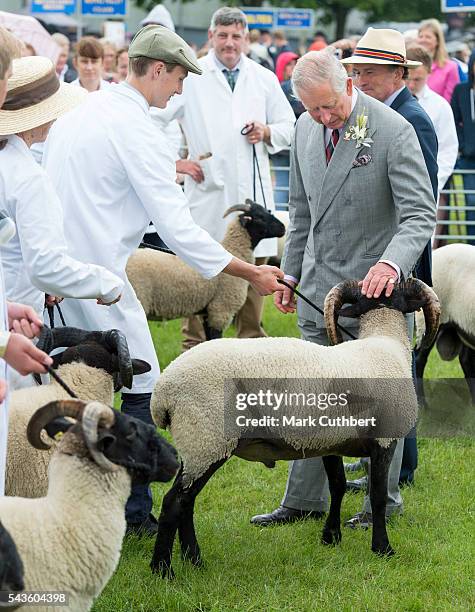 Prince Charles, Prince of Wales looks at a ram competition during a visit to The Royal Norfolk Show at Norfolk Showground on June 29, 2016 in...